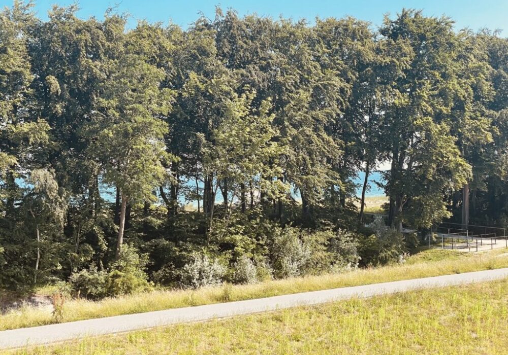 1. Meereslinie